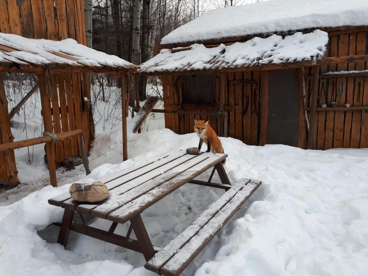 Hébergement de la Montagne St-Roch Saint Roch de Mekinac Buitenkant foto