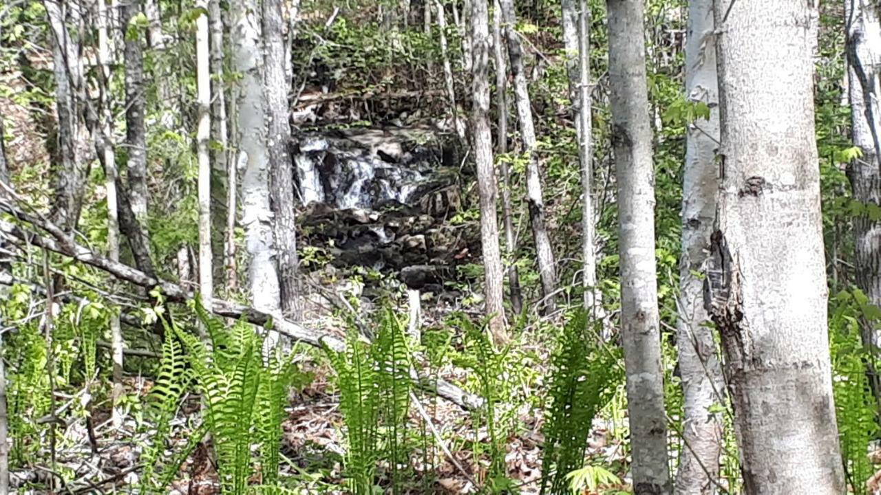 Hébergement de la Montagne St-Roch Saint Roch de Mekinac Buitenkant foto